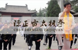 Chen Zhenglei Taijiquan Federation - Italy