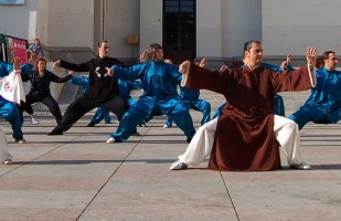 Taiji Quan stile Chen