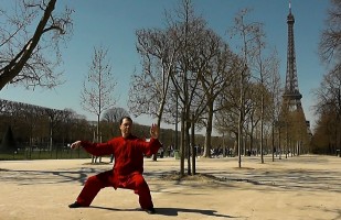 Chen Style Taiji Quan - 21 Movements Simplified Form - G. Paterniti - 陈氏太极拳二十一势