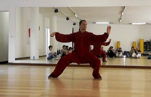 Chen Style Taiji Quan Xinjia Yi Lu performed by G. Paterniti during a seminar in Ivrea (Italy)