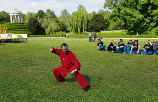 Master G. Paterniti Lupo - Xinjia Yi Lu / Er Lu Demonstration - Vicenza (Italy), April 29th, 2017