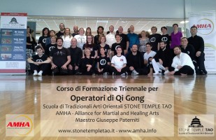 Qi Gong Professional Training Course - Five Elements Qi Gong 五行气功 - Master G. Paterniti - Italy