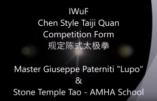 IWuF Chen Style Taiji Quan Competition Form - Master G. Paterniti Lupo - 规定陈式太极拳