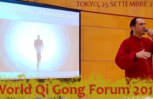 Qi Gong e Lavoro su di sé - World Qi Gong Forum 2016, Tokyo - M° G. Paterniti Lupo