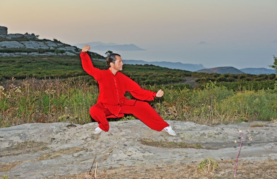 Master G. Paterniti - Chen Style Taiji Quan -...