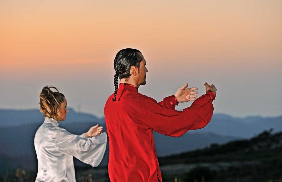 Qi Gong professionale a Febbraio!