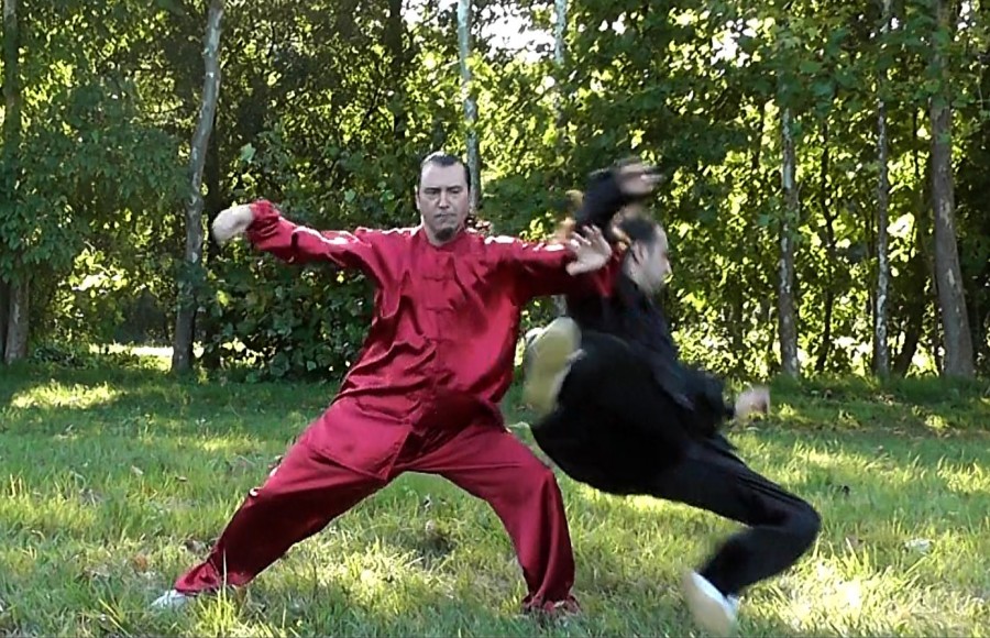 COMBAT TAI CHI - Chen Style Taiji Quan Fighting...