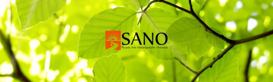 SANO - Scuola Arti...